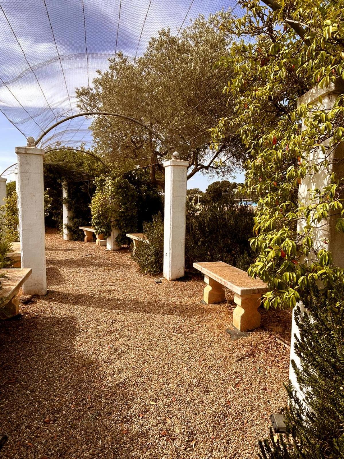 Agriturismo La Civetta Джоя-дель-Колле Экстерьер фото